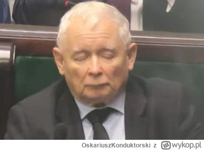 OskariuszKonduktorski - @Pr3z3z: Jak Buda rozjebywał to Prezes smacznie spał