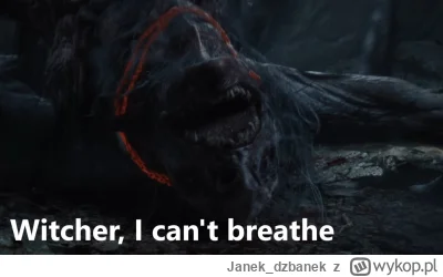 Janek_dzbanek - #gry #heheszki #wiedzmin #wiedzmin4