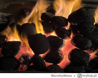 WarmByWinter - Sobie grilla teraz robię #grill