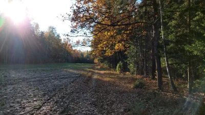 ToJestNiepojete - Początek listopada, a pogoda wrześniowa, no to jak nie pojechać na ...