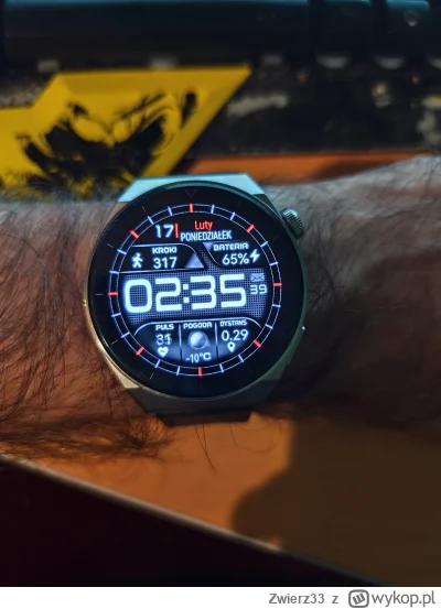 Zwierz33 - Ładnie - 10 C na zegarku a na termometrze póki co - 9 C więc prawie się zg...