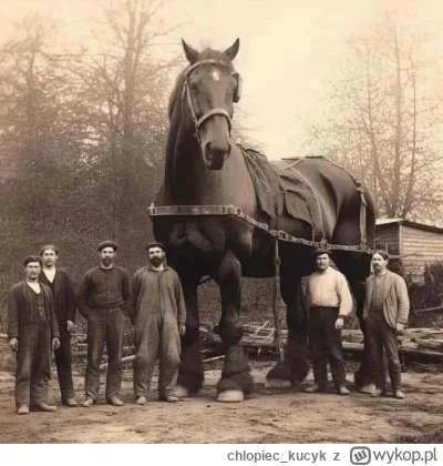 chlopiec_kucyk - Ostatni koń gigant. 1890 r
#ciekawostki #ciekawostkihistoryczne #roz...