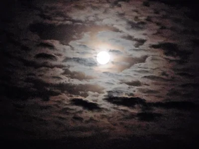 dziewiczajajecznica - #przegryw #ksiezyc #noc #chmury
Księżyc przemieszcza się między...