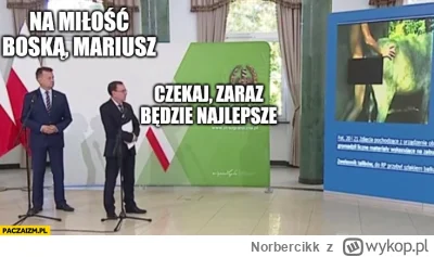 Norbercikk - Ależ piękny poniedziałek.
Prosto z porannej rozmowy u zaprzyjaźnionego r...