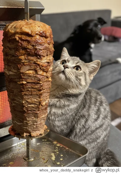 whosyourdaddysnakegirl - @wybryknatury