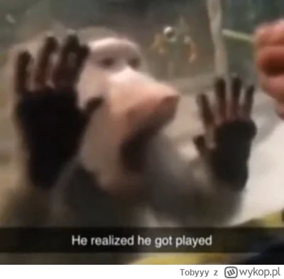 Tobyyy - Marcin przy okrągłym stole po tym jak dymał za frajer dla zdrajców  #thetrai...