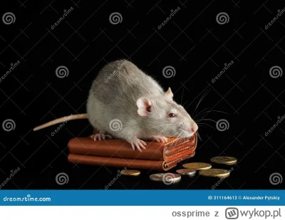 ossprime - W dni takie jak dziś szczurek pięknie stabilizuje portfel 

#gielda #xtb #...