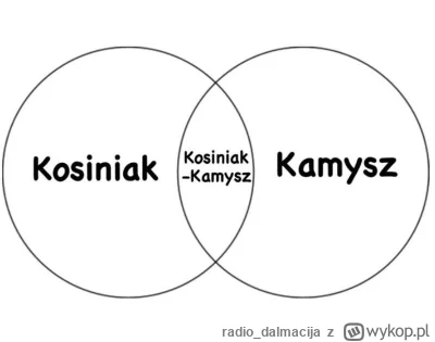 radio_dalmacija - Tu macie wszystko wytłumaczone
#kosiniak #kosiniakkamysz #kamysz