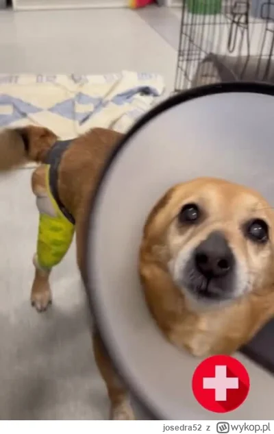 josedra52 - (｡◕‿‿◕｡)
#danielmagical #psy