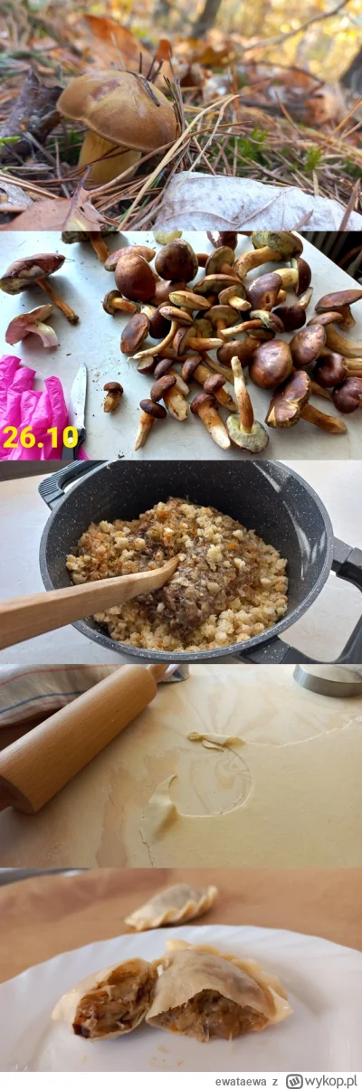 ewataewa - #gotujzwykopem sie babie nudziło, to se poszła rano nazbierać #grzyby, żeb...