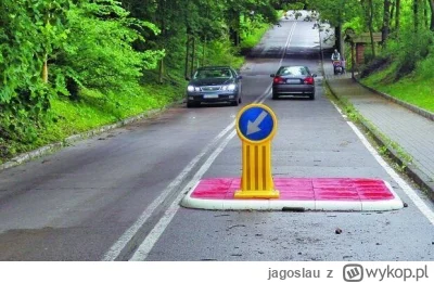 jagoslau - > — Niektórzy kierowcy omijają progi zwalniające tylko dlatego, że bardzie...
