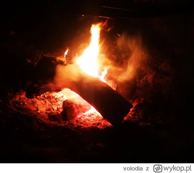 volodia - Siedzę z jakimiś ludźmi przy ognisku. Jak to normictwo są generalnie nudni,...