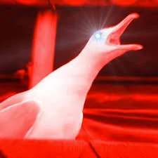 MechanicznyTurek - #konklawe