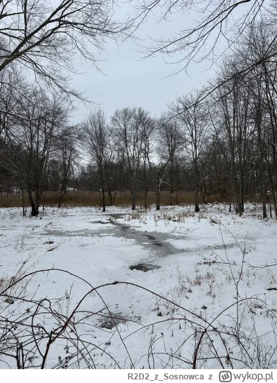 R2D2zSosnowca - Wielu wczoraj pytało dlatego dzisiaj jest 
#bagiennko grudniowe ʕ•ᴥ•ʔ...