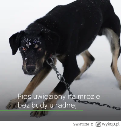 SwiatOze - ☃️W Polsce spadł pierwszy śnieg tej zimy. Temperatura obniżyła się do wart...