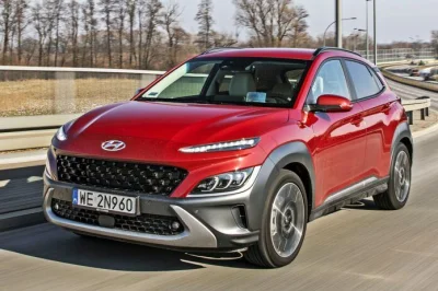 Fedain - @itsoverfor_chlop: Tylko Azjaci, takiego sobie hoduje od paru lat. PESA i VA...