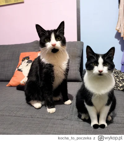 kochatopoczeka - @Rosinante: hokus-pokus