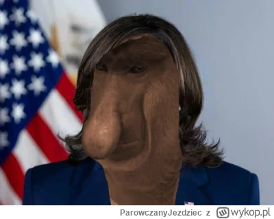 ParowczanyJezdziec - Jeśli chciałbyś chytrusie by ciemiężyciela spotkał sprawiedliwy ...