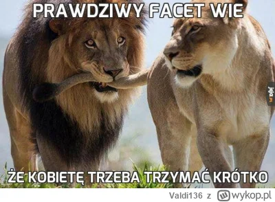 Valdi136 - @OkruszekBojowy:
