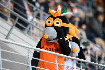 fafik_delta - @kimunyest95: kretowisk, powiadasz? ( ͡° ͜ʖ ͡°)