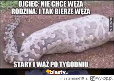 mastermind19 - @ROTTE_N: