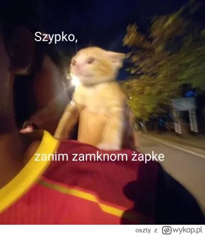 oszty - #smiesznekotki #koty #dziwnekotki #heheszki #zabka