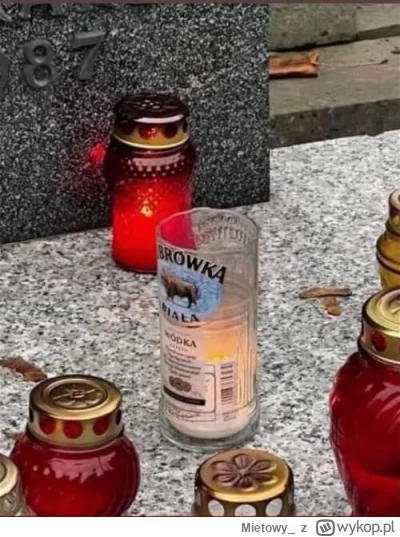 Mietowy_ - ♻️ level master