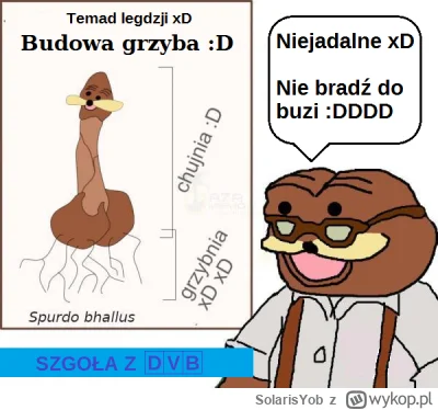 SolarisYob - #spurdo