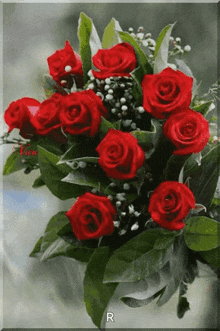 DzikiJelonek - #przegryw hej sliczna