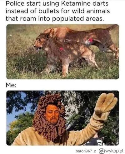 baton967 - #narkotykizawszespoko