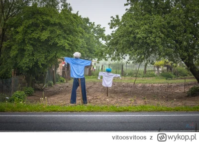 vitoosvitoos - Bez kitu, przestraszyłem się tych typów  (｡◕‿‿◕｡)