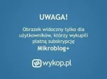 Koksixk - Siema w tym 17 zadaniu z arkuszu z matematyki która odpowiedź jest poprawna...