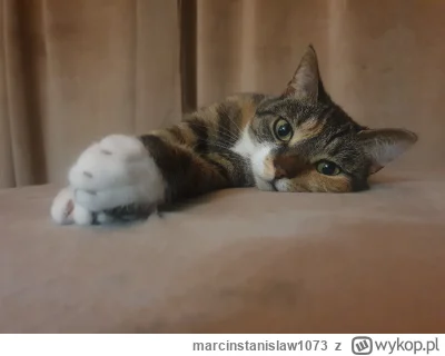 marcinstanislaw1073 - @szarley: no hej, tez jestem Elza