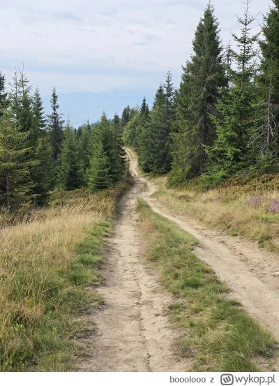 booolooo - #gory #urlop 
Zero ludzi na szlaku. Pieknie.