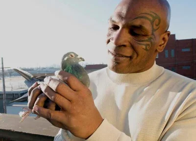 DzikuDziczyzna - #boks
No to zapraszamy po gołąbki.