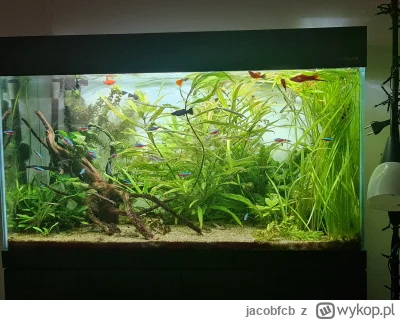 jacobfcb - I kolejne