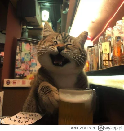 JANIEZOLTY - #aikitku