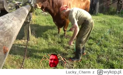 Lucky_Charm - #raportzpanstwasrodka kleszcz się wszędzie przykleszczy