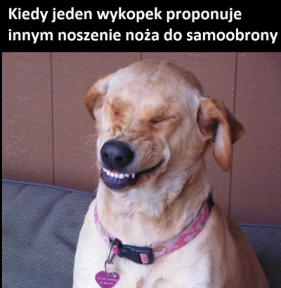 pieknylowca - XD, smieszy mnie jak wykopki po akcji z #pruszkow doradzaja sobie jaka ...