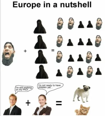51431e5c08c95238 - #heheszki #humorobrazkowy #islam #europa #bekazlewactwa