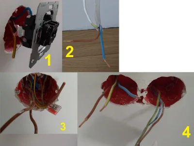 Piospi - Mirki i Mirabelki, potrzebuję pomocy. 

Chciałbym założyć sobie gniazdka i w...