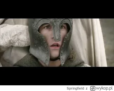 Springfield - #kononowicz #patostreamy