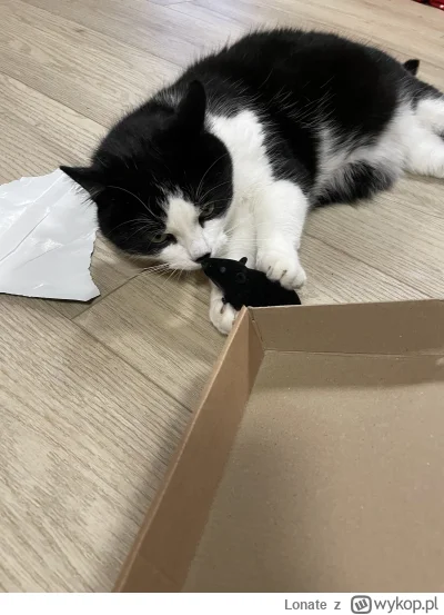 Lonate - i kitku z myszką :)