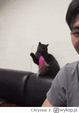 Chrystus - #smiesznypiesek