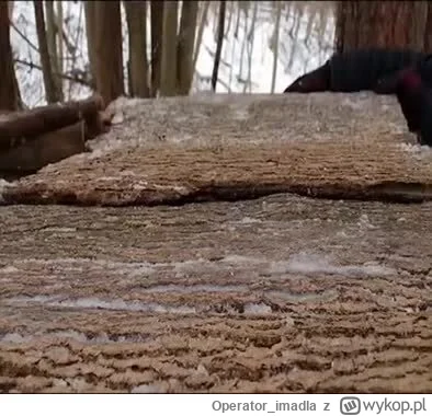 Operator_imadla - Kurła ale zajebista sprawa mieć taki domek w lesie (｡◕‿‿◕｡)
#las #b...