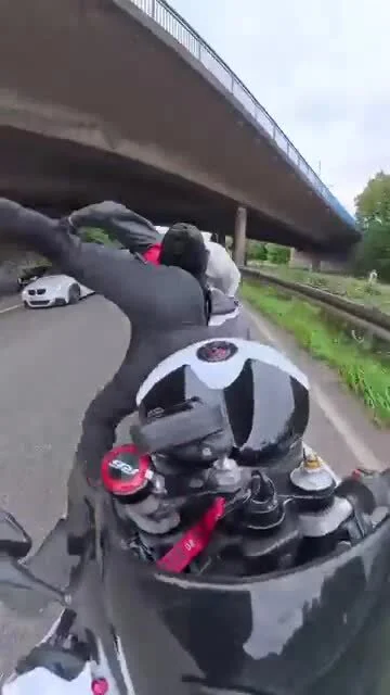 cheeseandonion - #zzr #