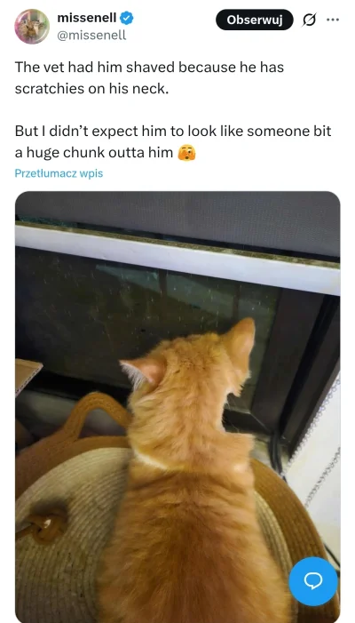 Manioza - #heheszki HAPS!