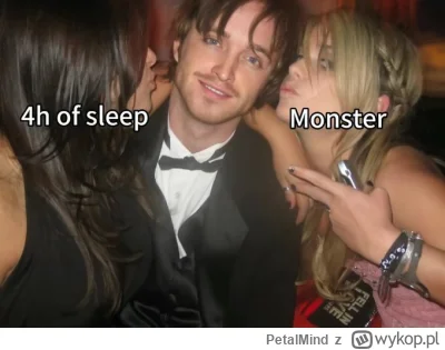 PetalMind - Wstałem słuchajcie