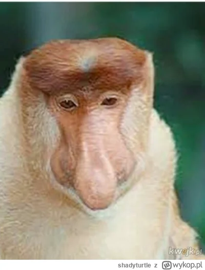 shadyturtle - @RitmoXL: ehh, pracuję w kółko, by potem móc oglądać, jak inni jeżdżą w...