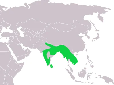 Lifelike - Zasięg występowania: